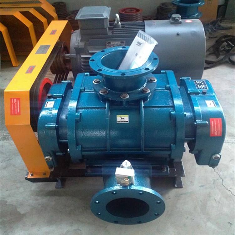 山東MSR225三葉羅茨鼓風(fēng)機(圖2)